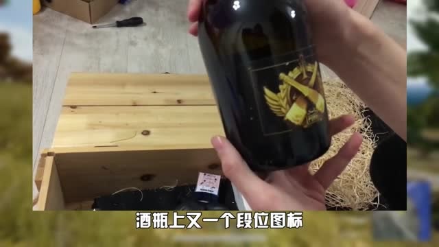 俄罗斯网友收到蓝洞官方礼物！打开一看满满的惊喜，这也太用心了！海报剧照